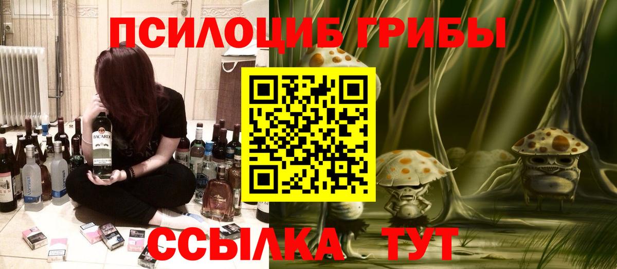 Череповец  Галлюциногенные грибы Psilocybine cubensis  Вход с VPN 